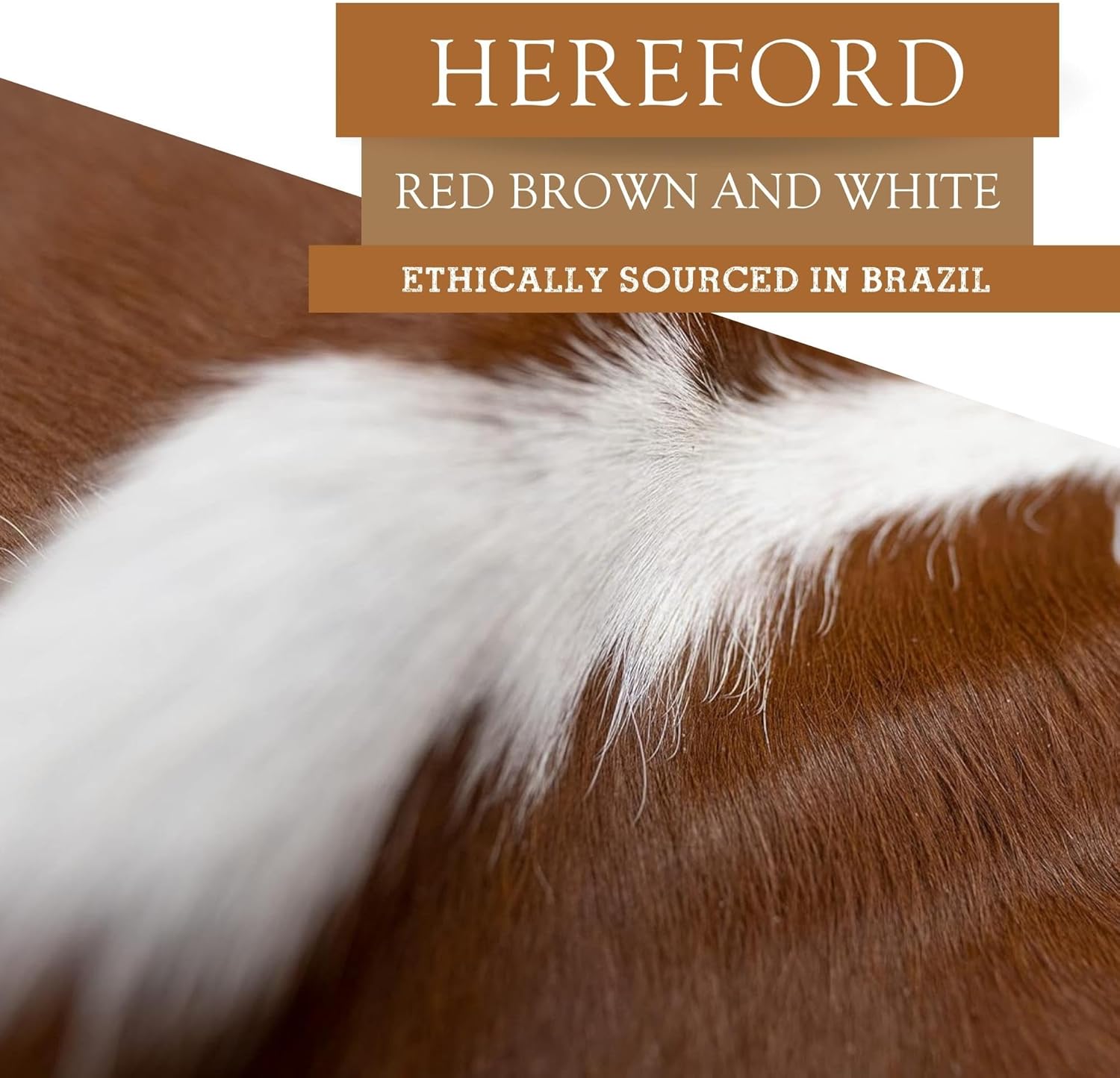 Sunshine Cowhides Hereford - Alfombra de piel de vaca 100% genuina, color rojo,...