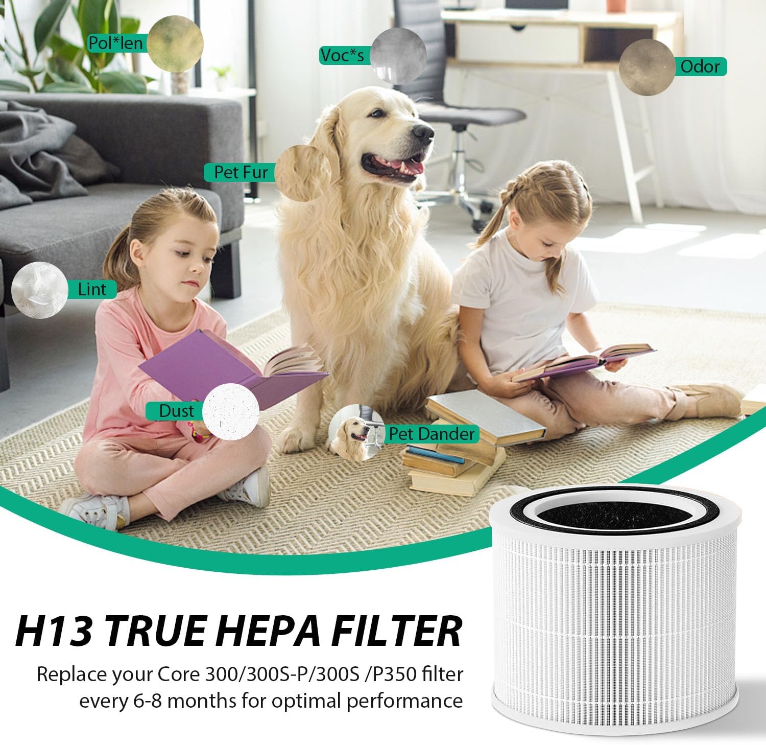 Filtro de repuesto para purificador de aire Core 300 compatible con LEVOIT Core...