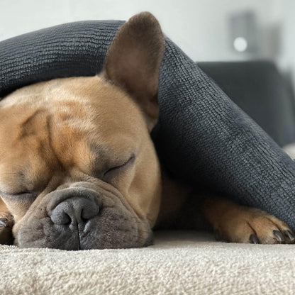 Mantas impermeables para perros pequeños, manta lavable para protección del