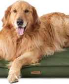 Lesure - Cama impermeable para perros grandes para exteriores, cama para...