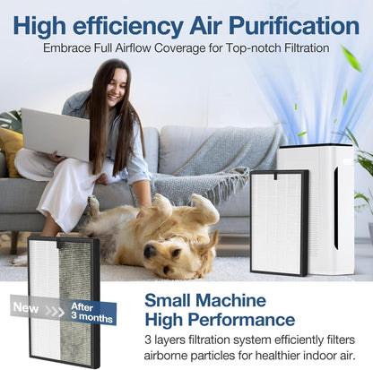 Paquete de 2 filtros de repuesto Pure Morning APH260 para APH260, sistema de