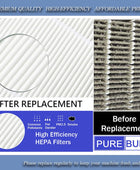 PUREBURG Filtro de repuesto compatible con purificadores de aire HIMOX H02 y...