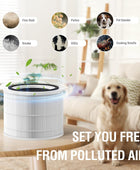 Filtro de repuesto True HEPA 14 compatible con purificador de aire Puro 240,...