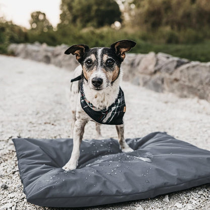 Fundas para cama de perro para perro de 44 pulgadas de largo x 32 pulgadas de