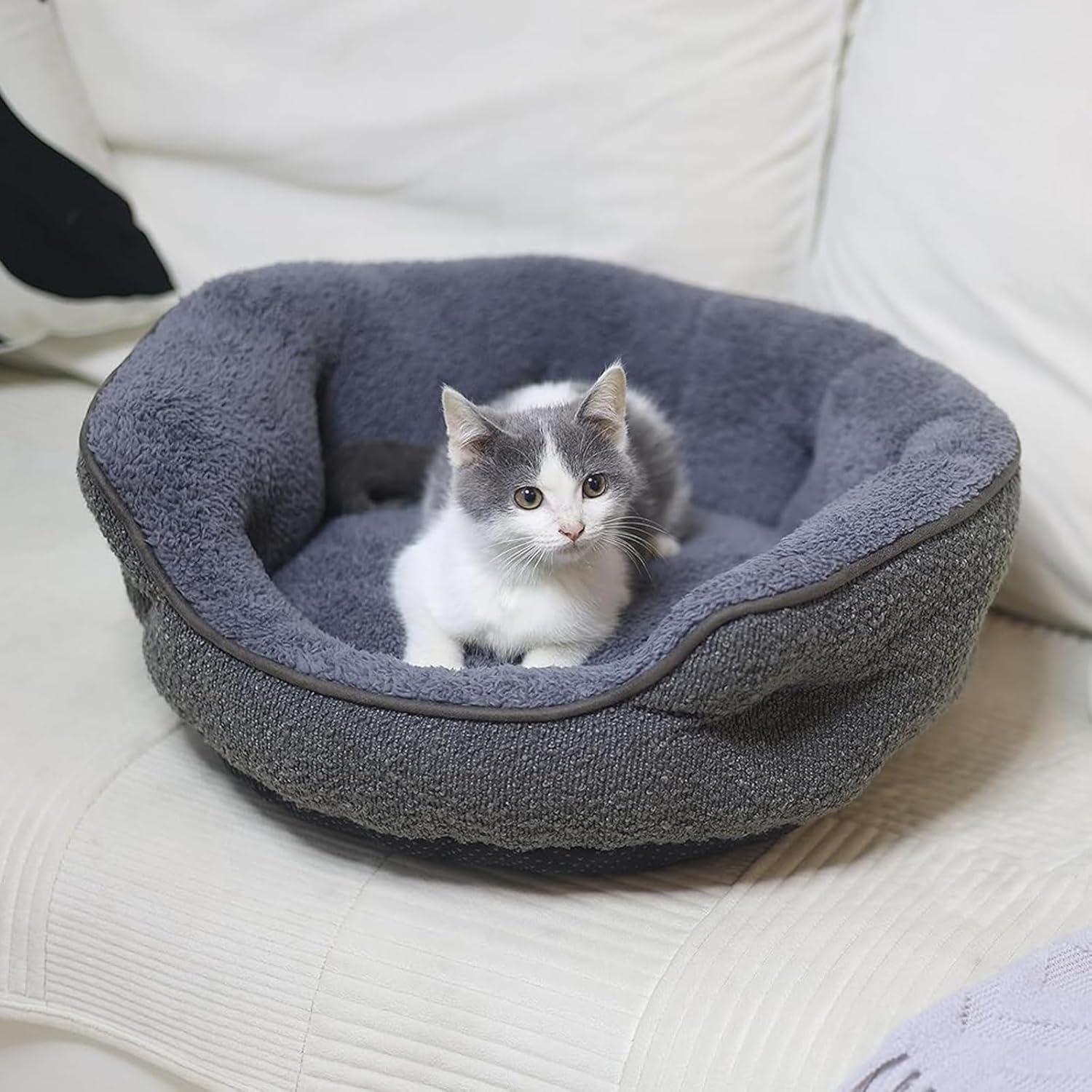 Cama para perros de tamaño mediano, camas para gatos de interior, bonita cama...