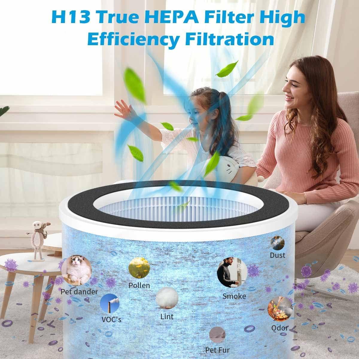 H13 True HEPA Filtro de aire especial de repuesto con filtro de carbón activado