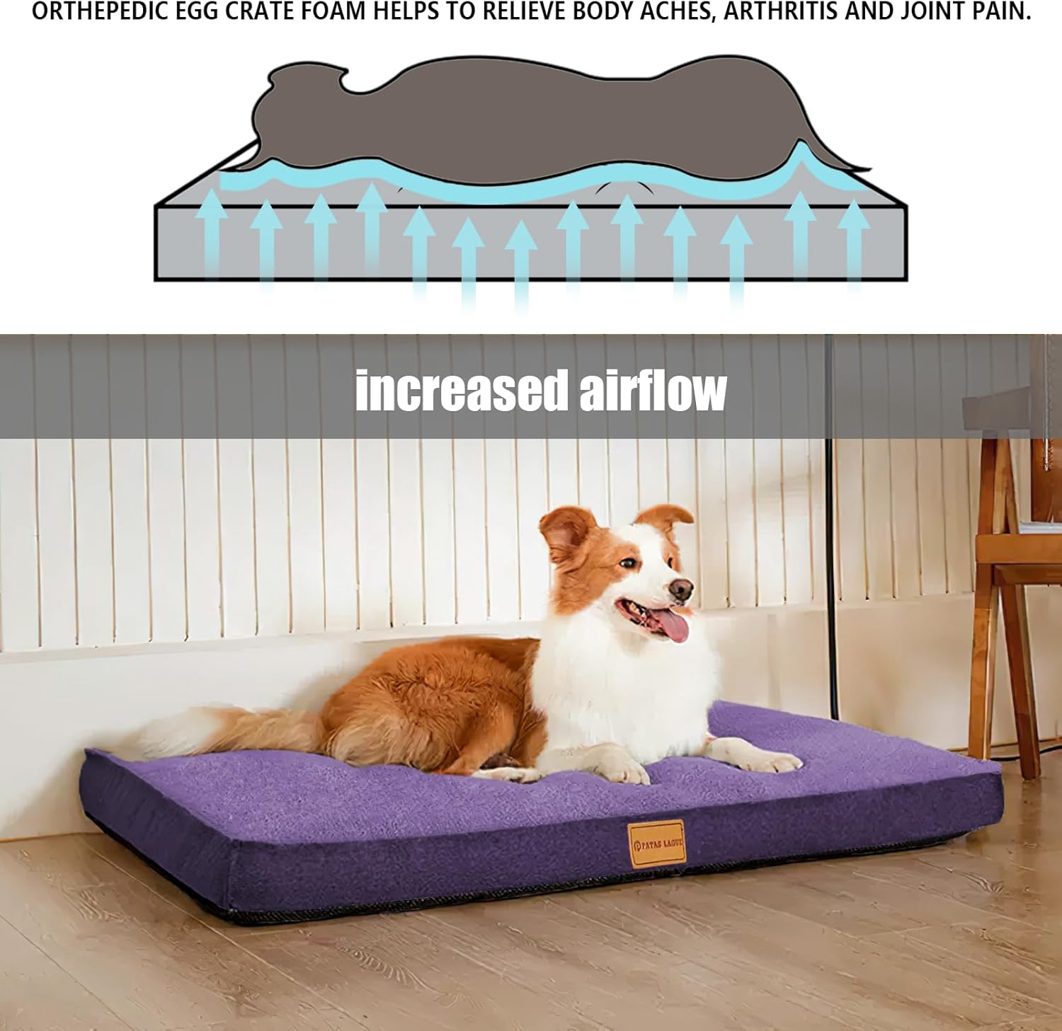 Patas Lague Cama ortopédica para perros medianos de 36 x 24 pulgadas, suave y...