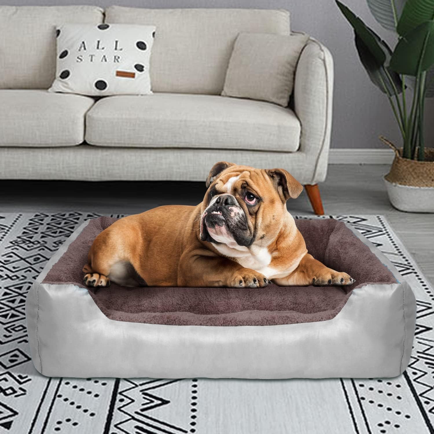 PUPPBUDD - Cama ortopédica para perros grandes, rectangular, lavable, cómoda,...