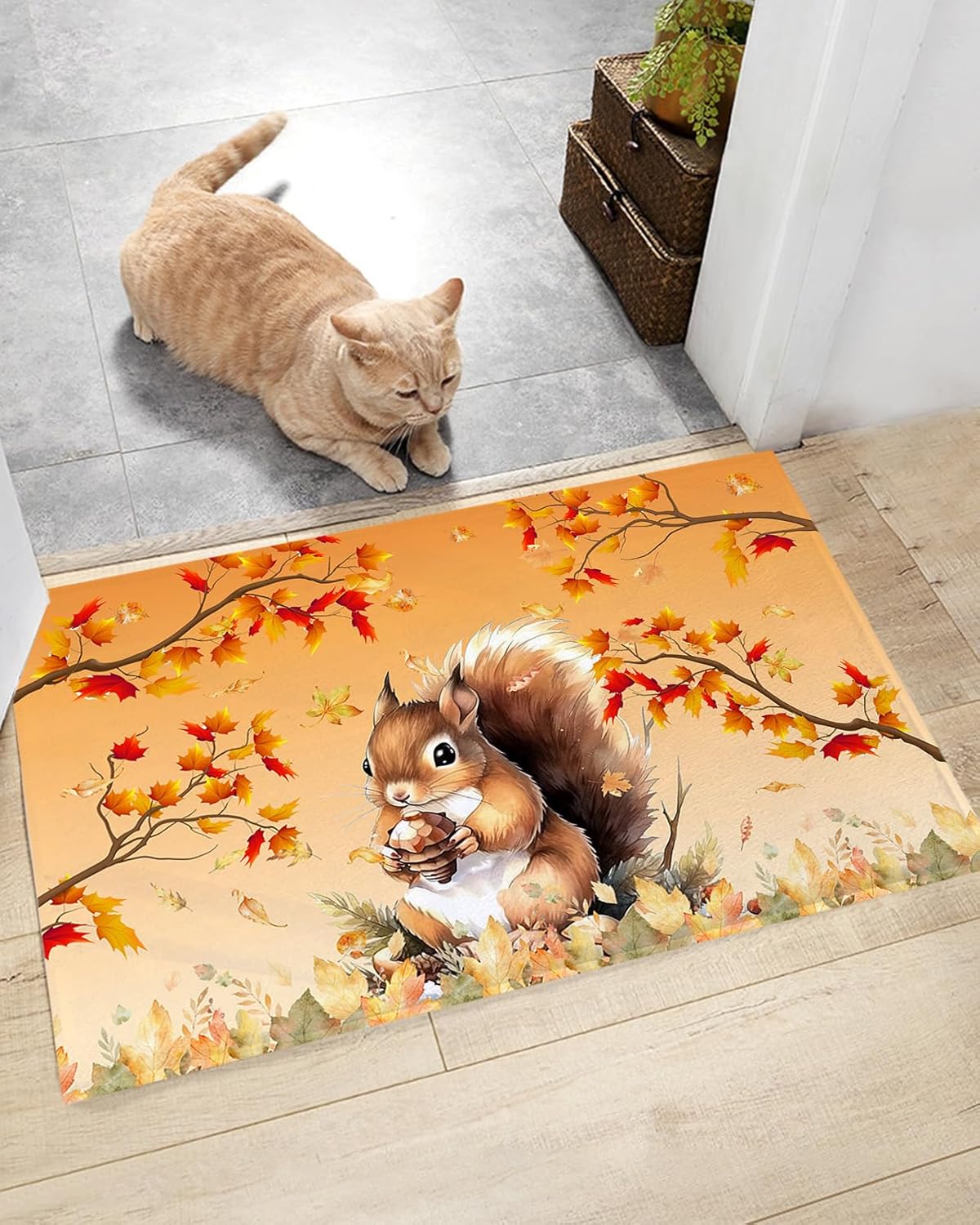 Shag Door Mats Bath Rugs Thanksgiving Squirrel Autumn Maple Leaf Orange...