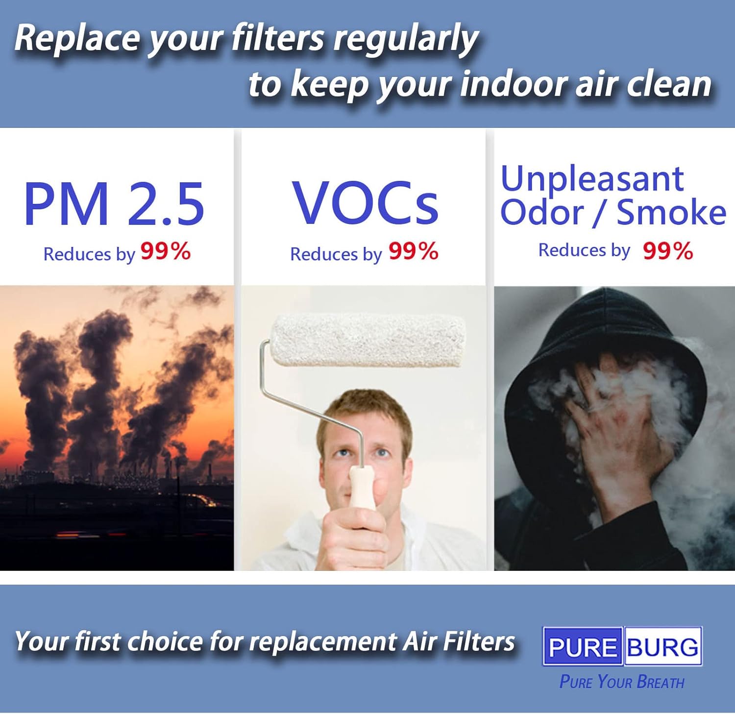 PUREBURG Demi - Filtros de repuesto HEPA verdaderos compatibles con purificador...