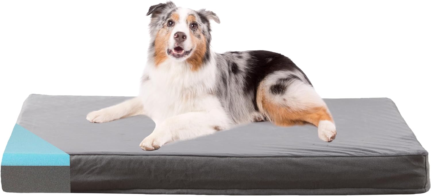 Cama ortopédica de espuma viscoelástica para perro, cama refrescante...