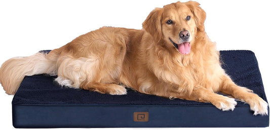 Camas ortopédicas XL para perros extragrandes con funda extraíble lavable,