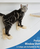 PETKARAY Percha para ventana de gato, hamaca plegable para ventana, estantes de...