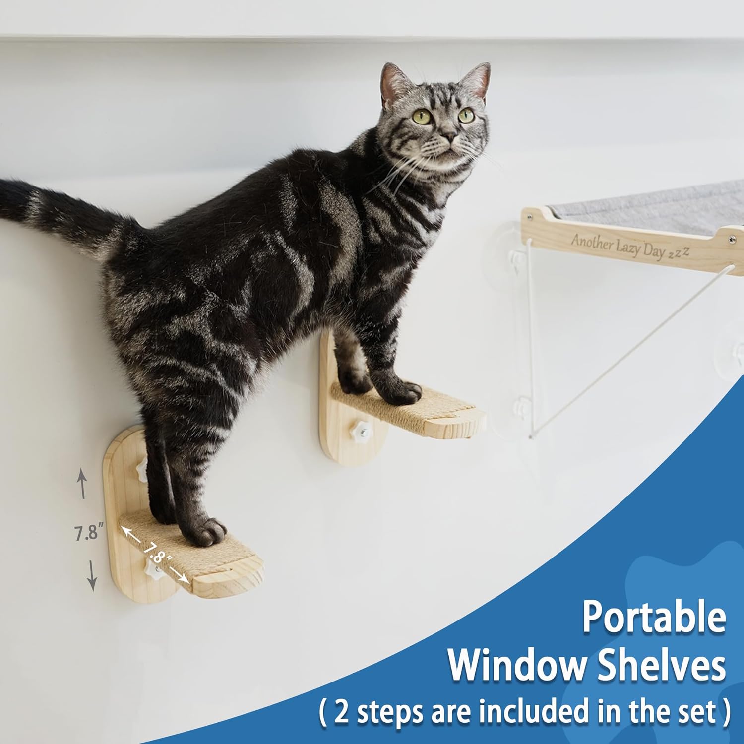 PETKARAY Percha para ventana de gato, hamaca plegable para ventana, estantes de...