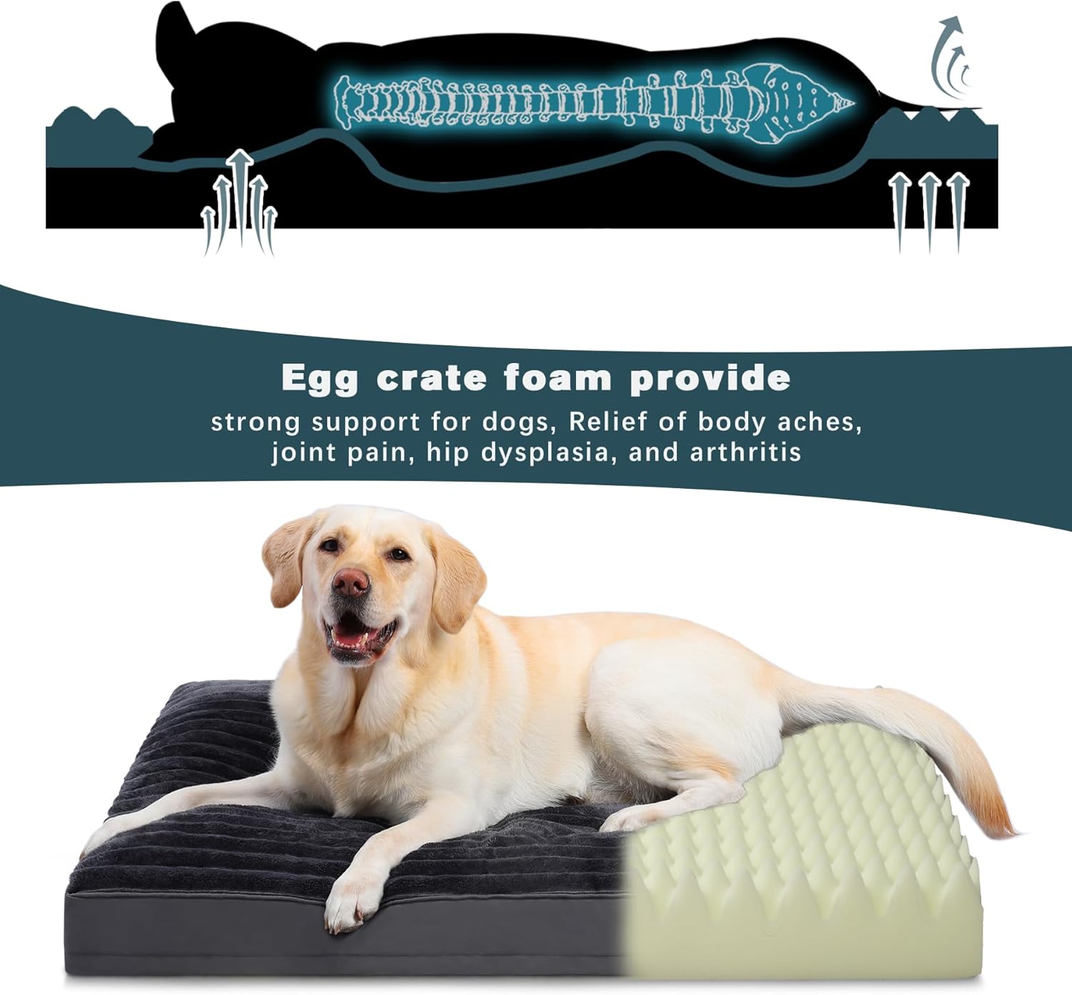 Vonabem Cama grande lavable con funda extraíble impermeable, camas para perros...