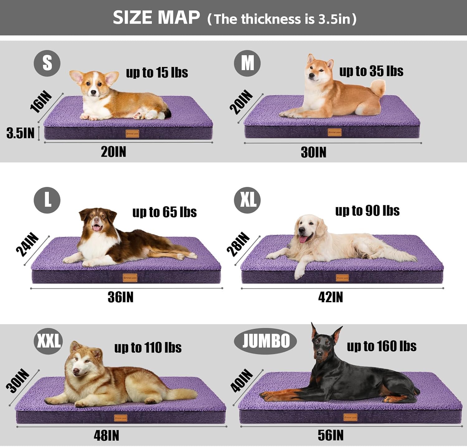 Patas Lague Cama ortopédica para perros medianos de 36 x 24 pulgadas, suave y...