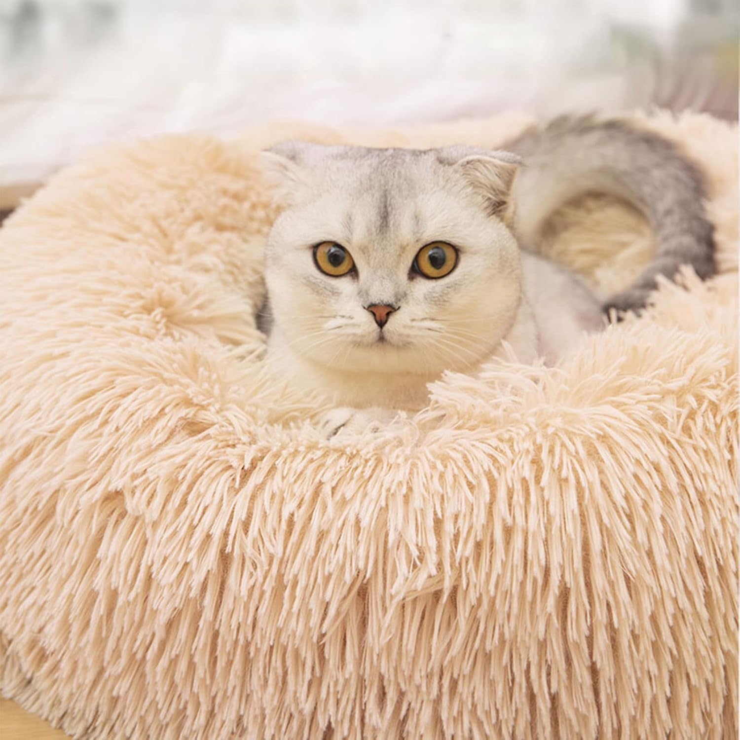 Camas para gatos de interior, cama para perros de 20 pulgadas para perros