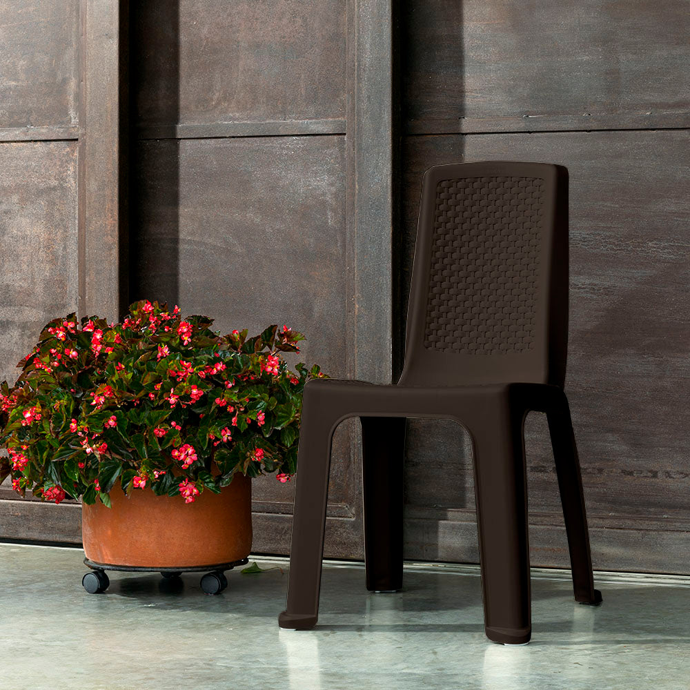 Silla Eterna sin Brazos Wengue