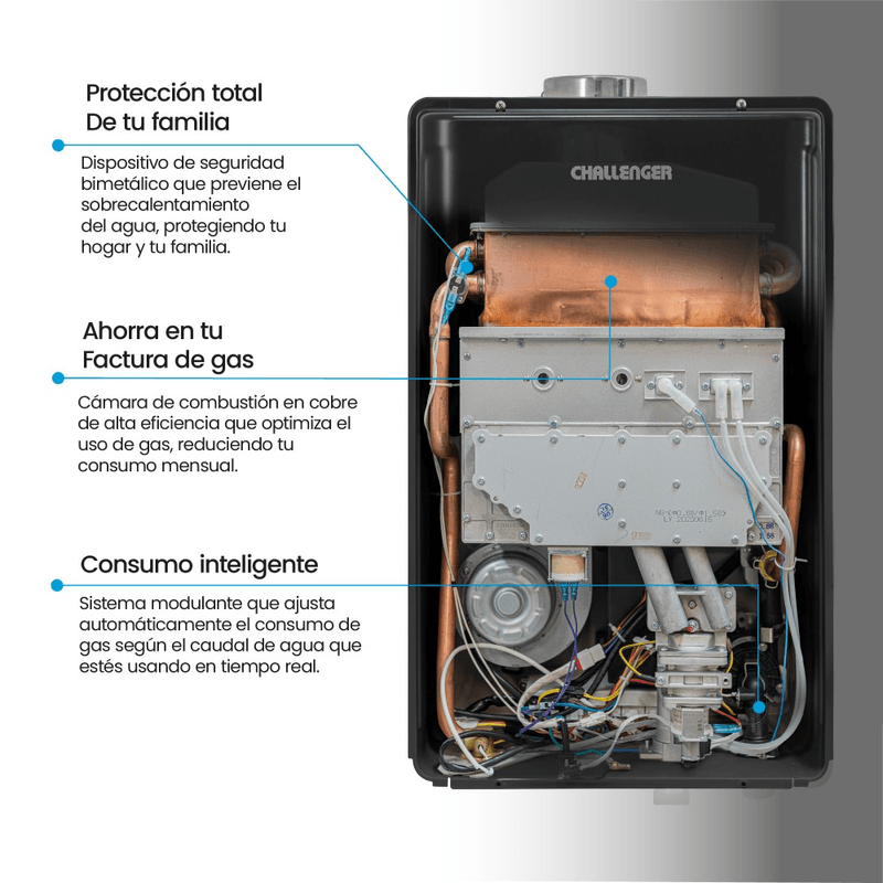 Calentador De Paso A Gas Tiro Natural Challenger 30 Lts Whf