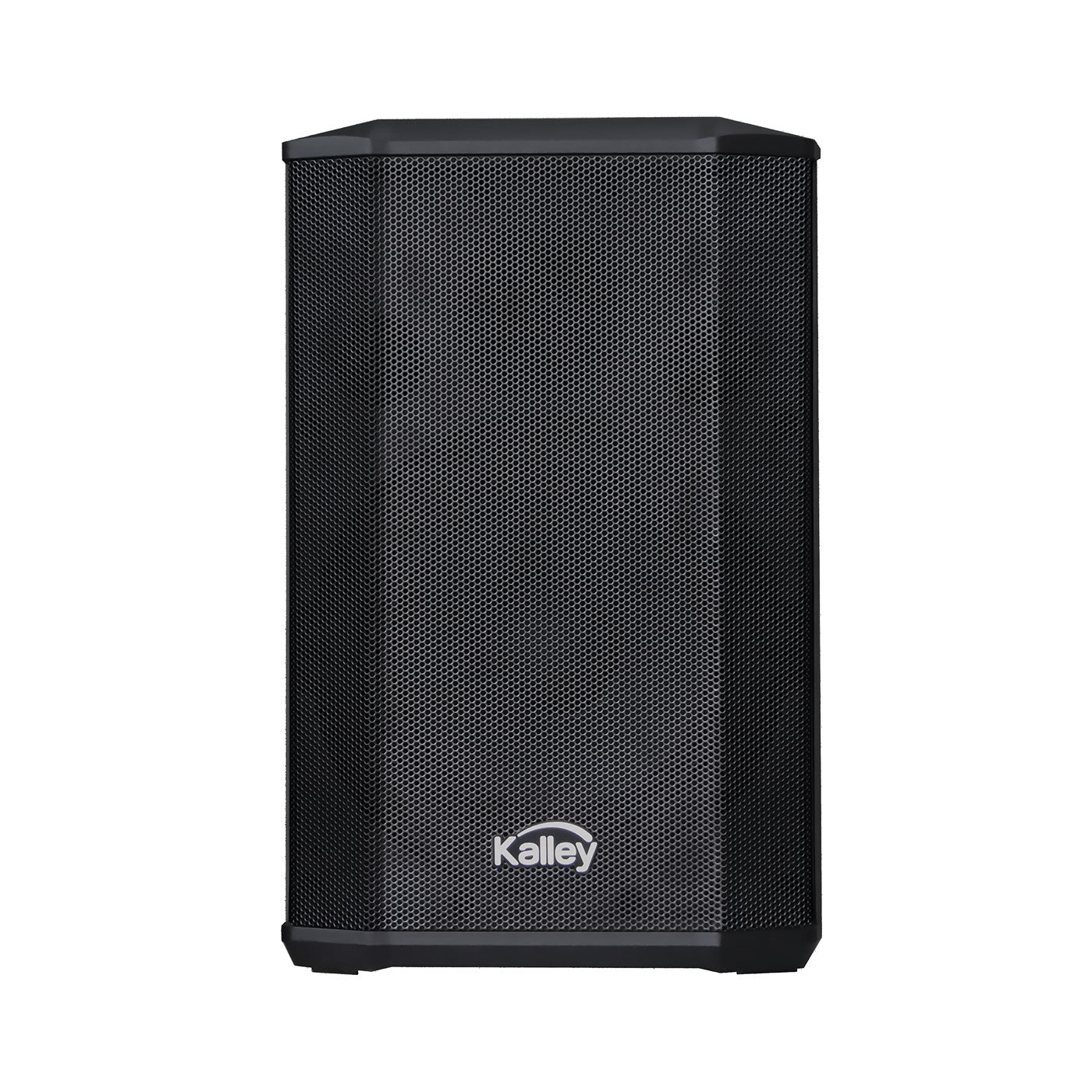 Parlante Portable 107w, Negro