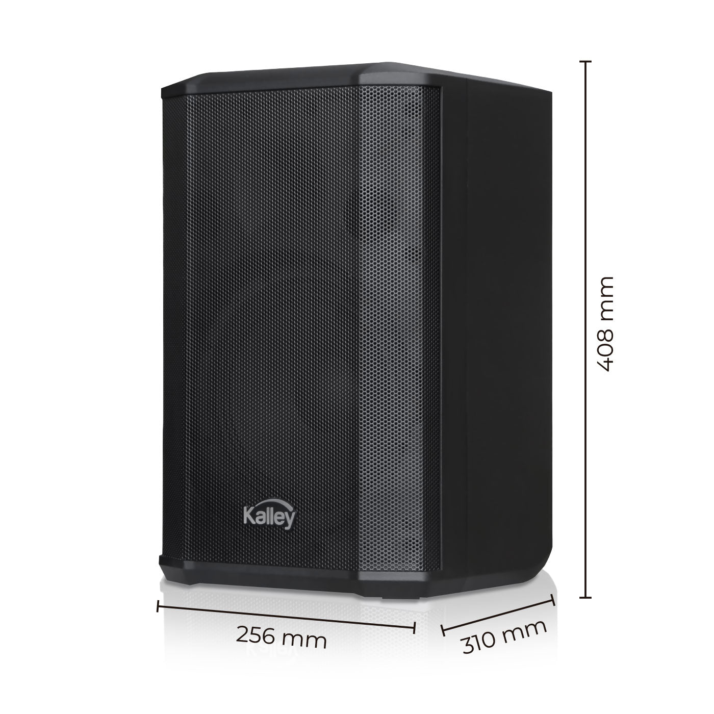 Parlante Portable 107w, Negro