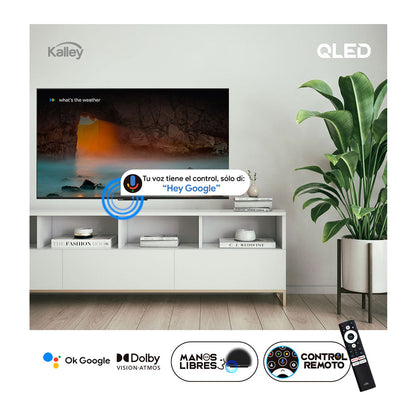 Combo Natura, Incluye Panel para TV Y Televisor de 50"