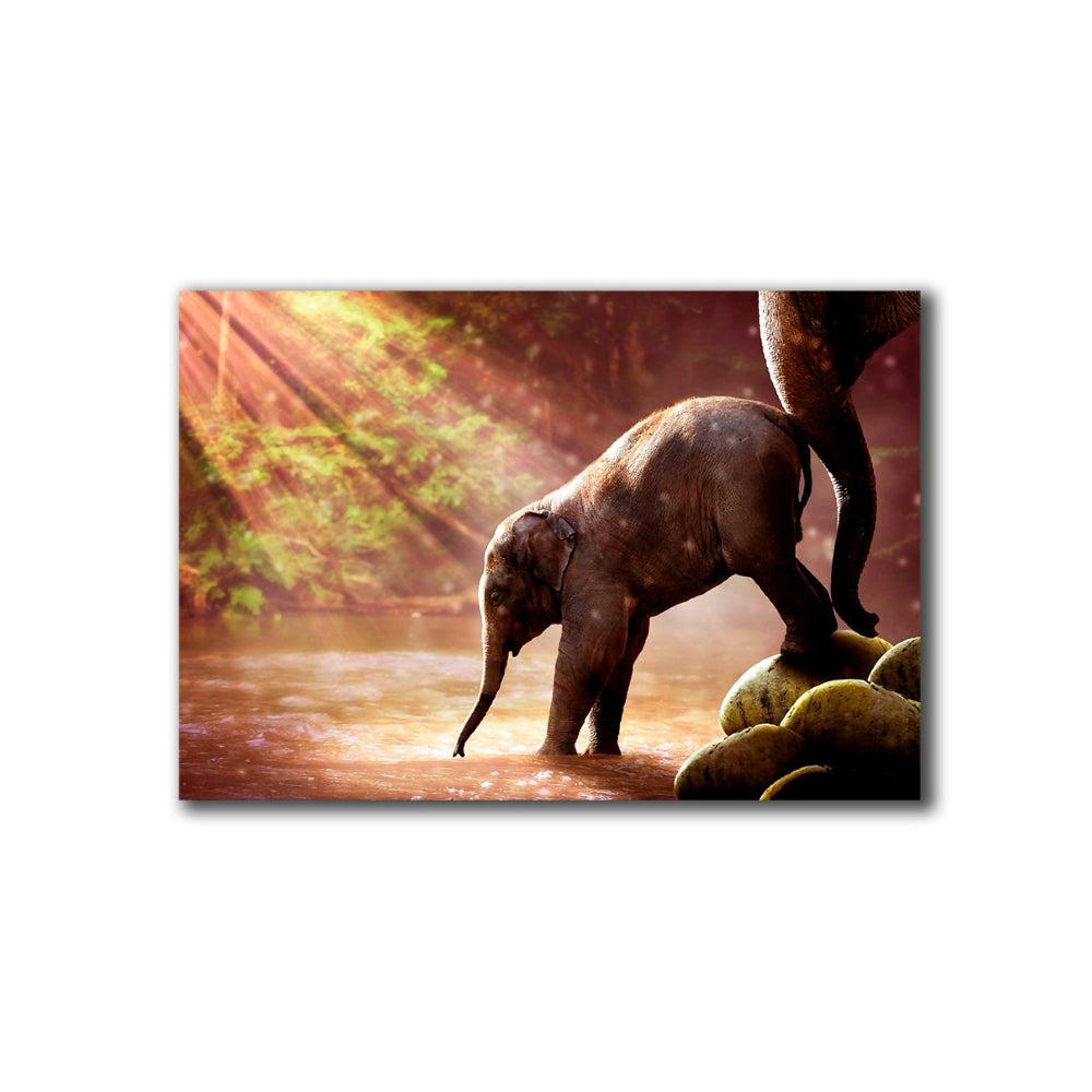 ELEFANTE PEQUEÑO M_1