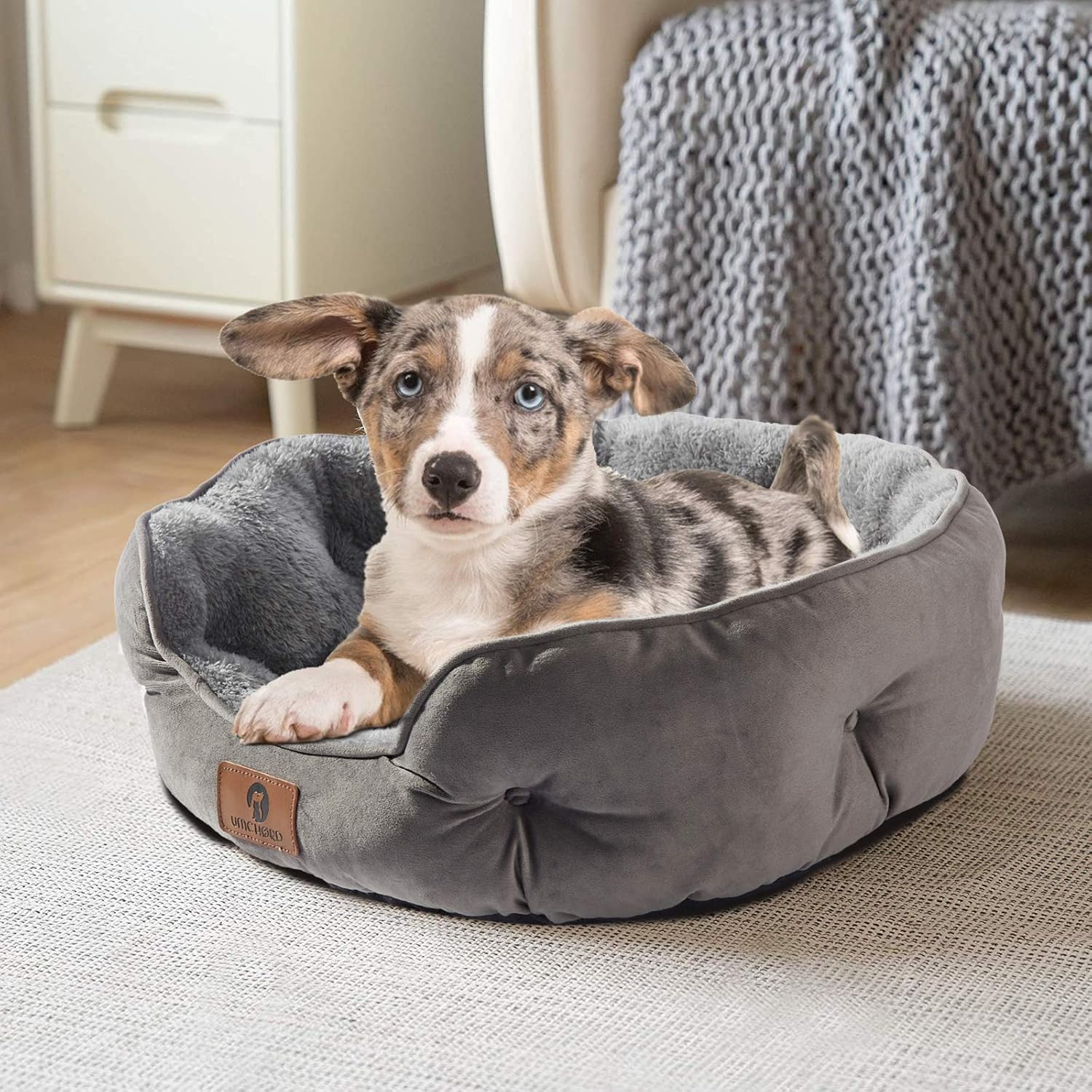 Asvin Cama pequeña para perros pequeños, camas para gatos de interior, cama...