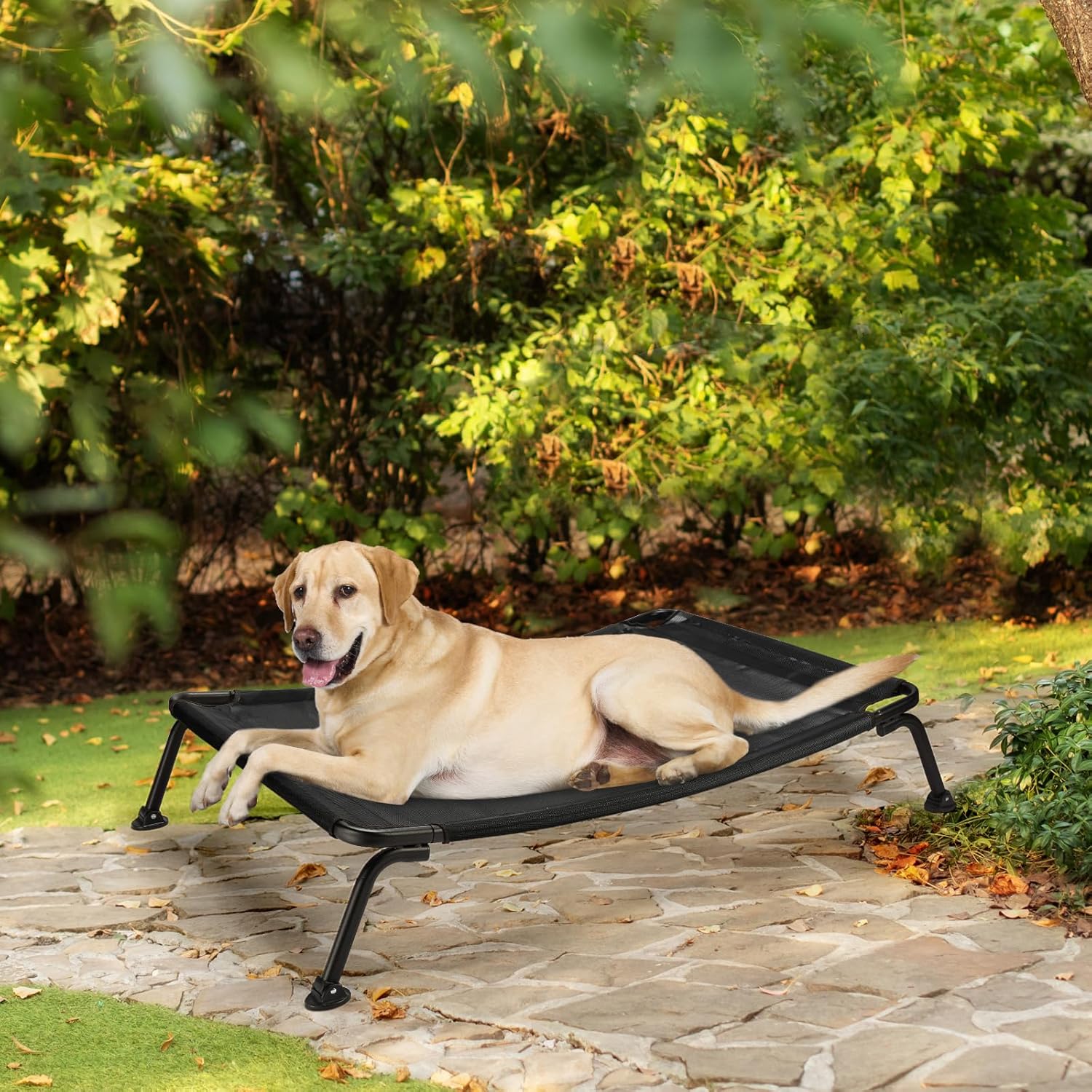 CWC2303A Cama elevada refrescante para perro, cuna curvada para dormir