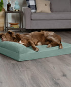 Furhaven - Cama Pinsonic acolchada para perros, con estampado de patas, en...