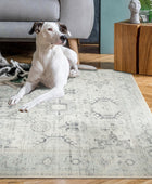 GLN Rugs Alfombra lavable a máquina, estética vintage bohemia envejecida, parte...