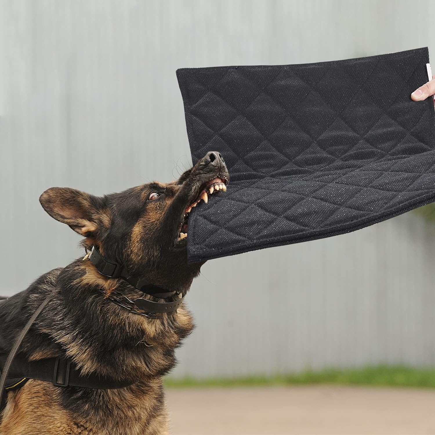 Camas indestructibles para perros, a prueba de mordidas, para masticadores