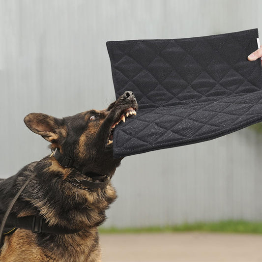 Camas indestructibles para perros, a prueba de mordidas, para masticadores