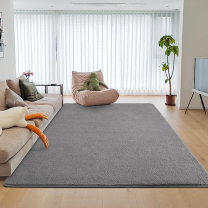 Alfombras grandes para dormitorio, sala de estar, alfombras de interior de