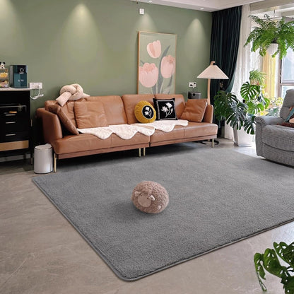 Alfombras grandes para dormitorio, sala de estar, alfombras de interior de