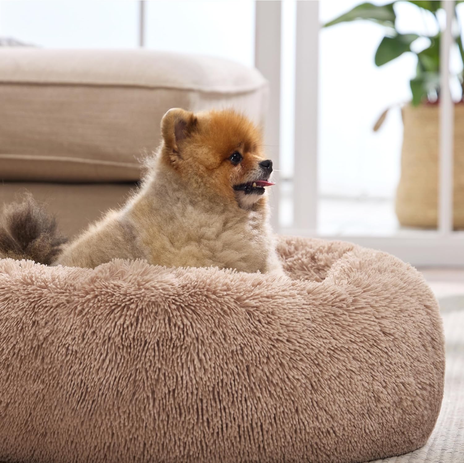 Bedsure - Cama calmante para perros pequeños, lavable, chica, con forma de...