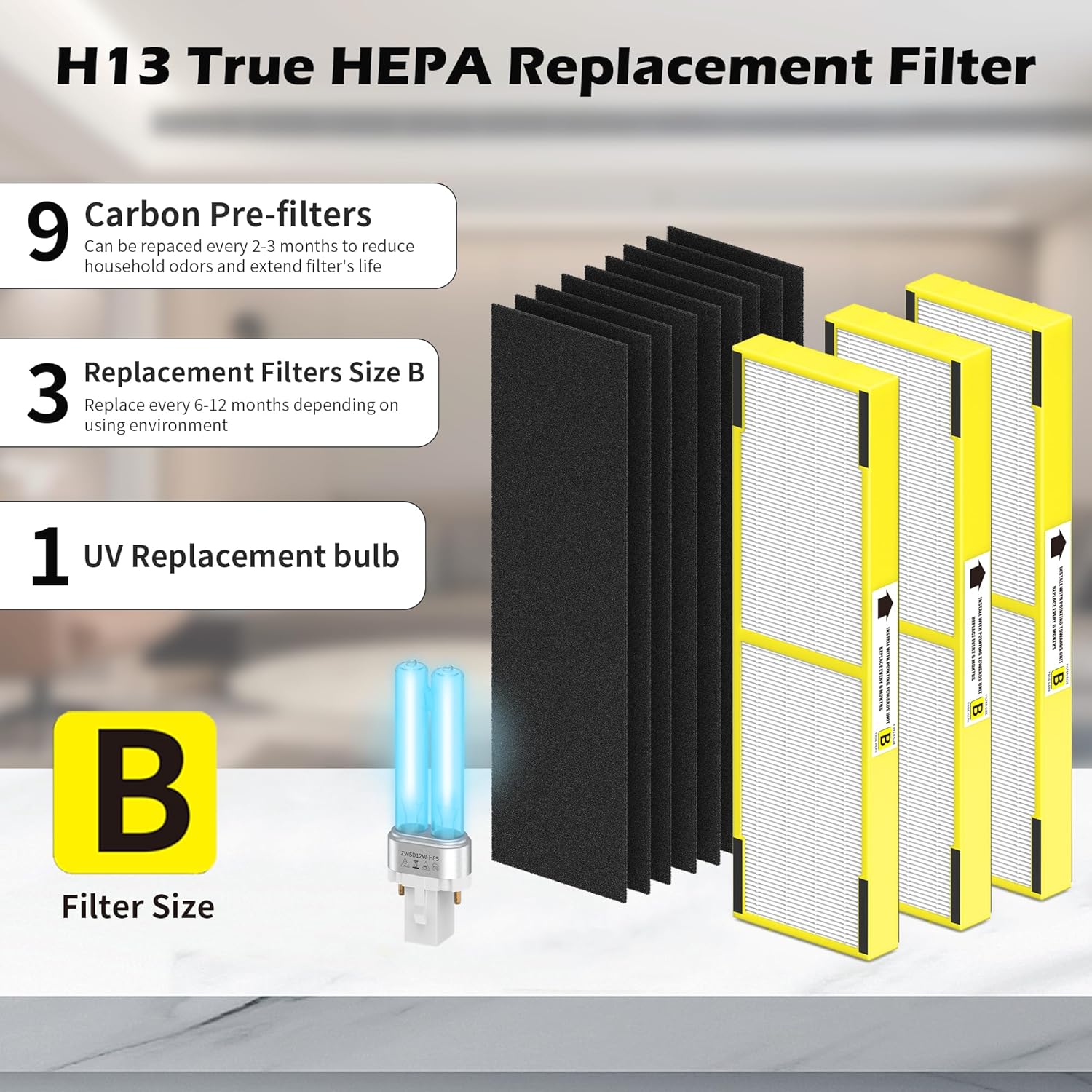 Filtro de repuesto HEPA FLT4825 B y LB4000 B para Guardian AC4825, AC4300,...