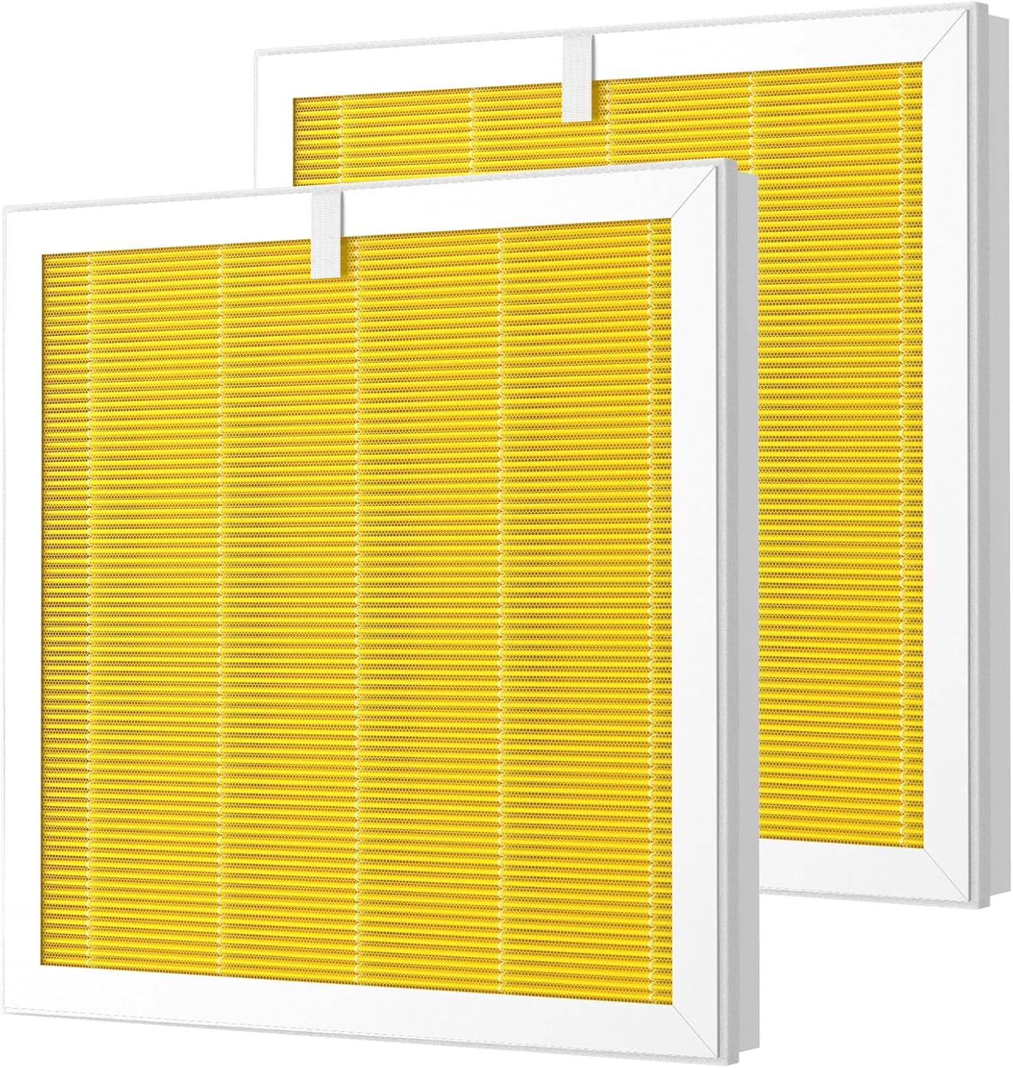 Filtro de cuidado de mascotas G3 compatible con AMEEU G3 (Sferf-30) y...