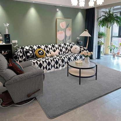 Alfombras grandes para dormitorio, sala de estar, alfombras de interior de
