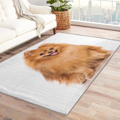 Pomeranian Alfombra de 3 x 4 pulgadas, alfombra para perro, alfombra lavable