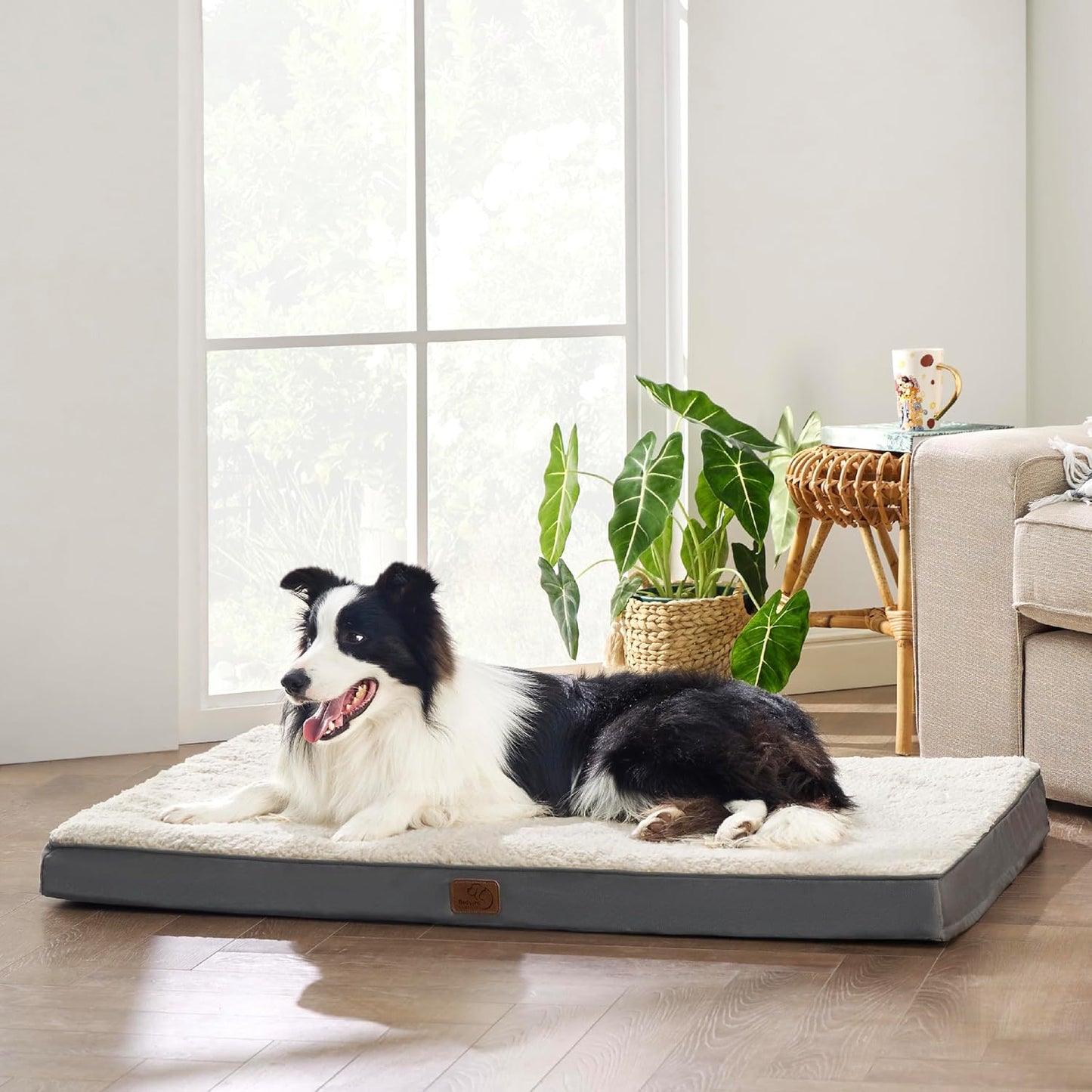 Cama ortopédica grande de espuma para perrosgatos pequeños, medianos, grandes y