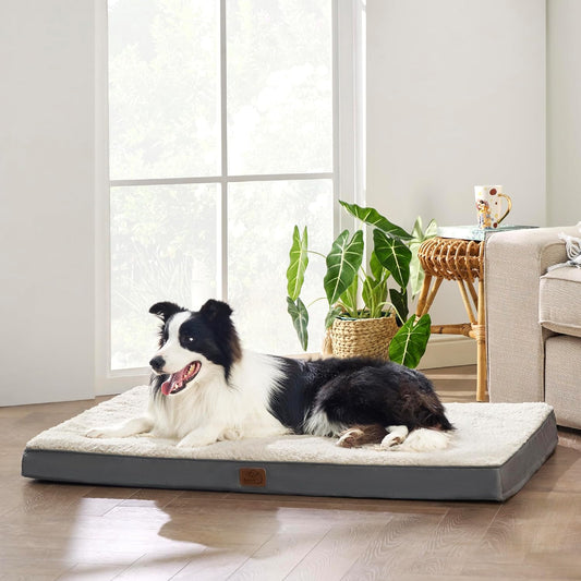 Cama ortopédica grande de espuma para perrosgatos pequeños, medianos, grandes y