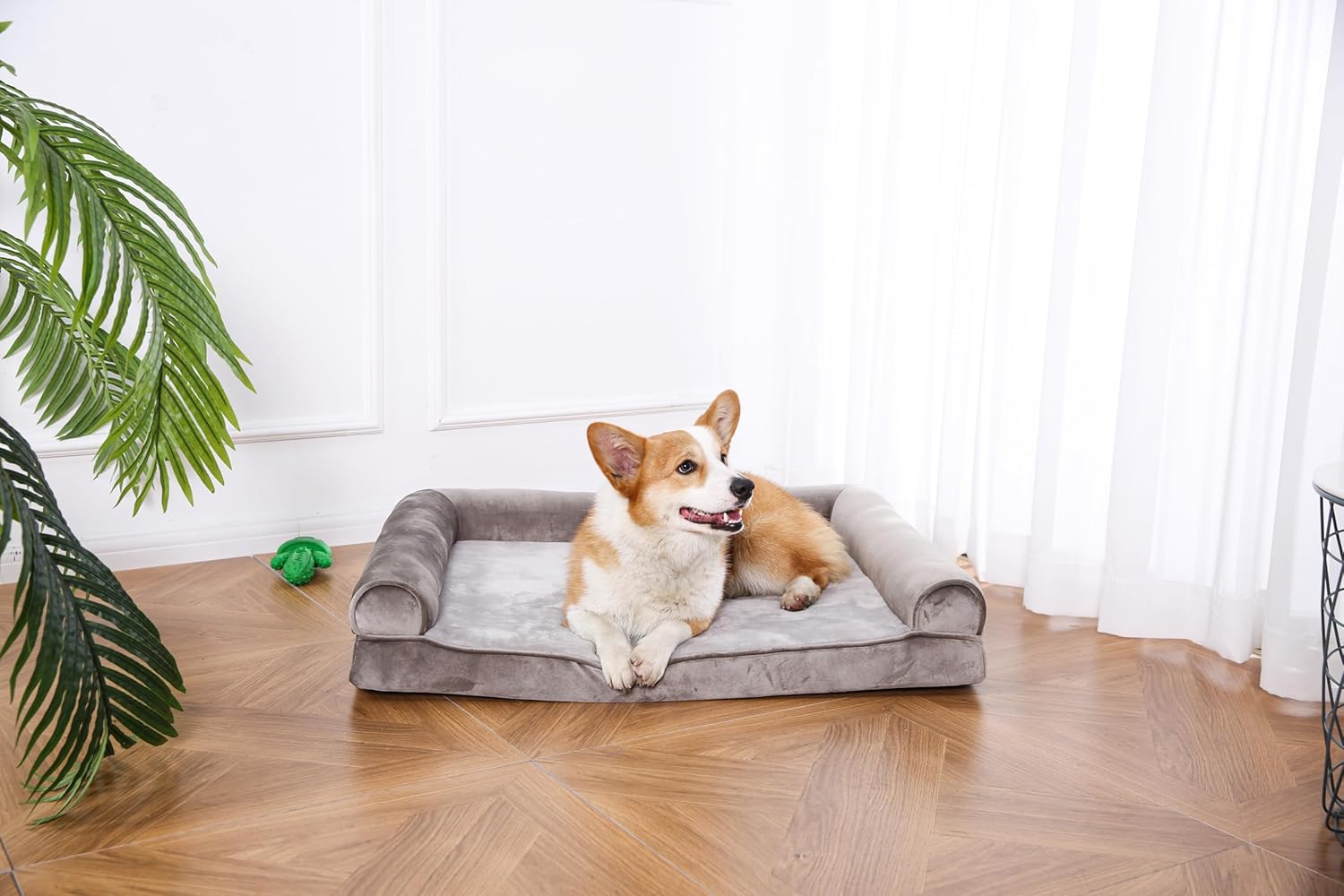 Tienda Basics Sofá ortopédico de espuma para sala de estar, cama para perros y...