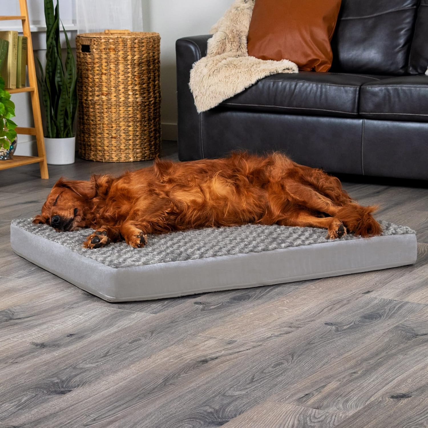 Furhaven Cama ortopédica para perros grandes de hasta 95 libras con funda...