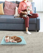 Cama para gatos pequeños, cama para gatos autocalentable, alfombrilla térmica...