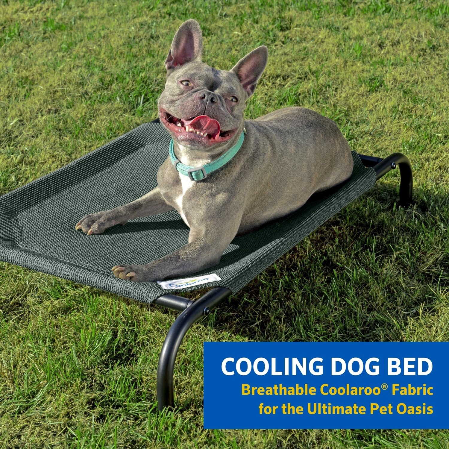 COOLAROO Cama elevada y refrescante para perros, para interiores y exteriores,...