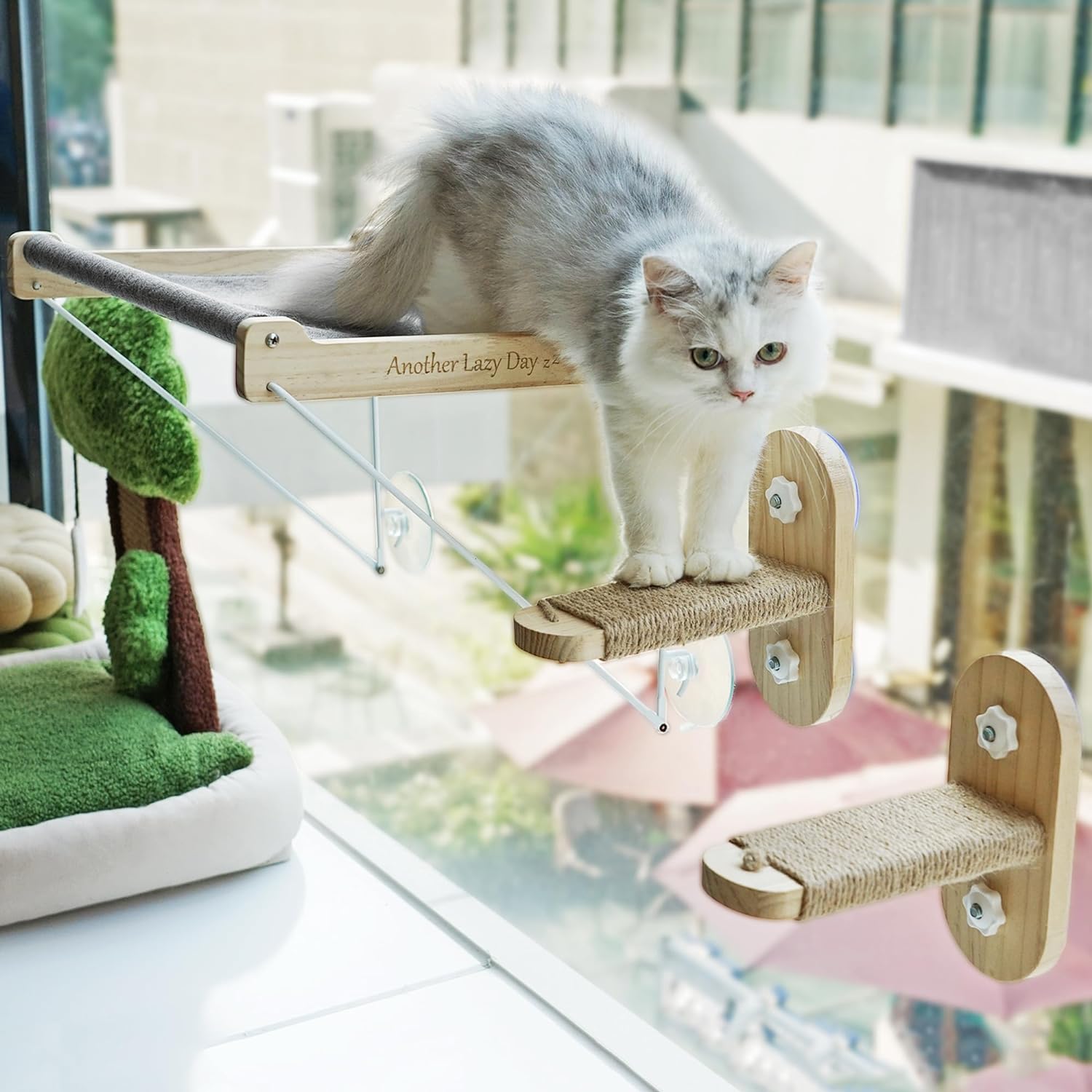 PETKARAY Percha para ventana de gato, hamaca plegable para ventana, estantes de...