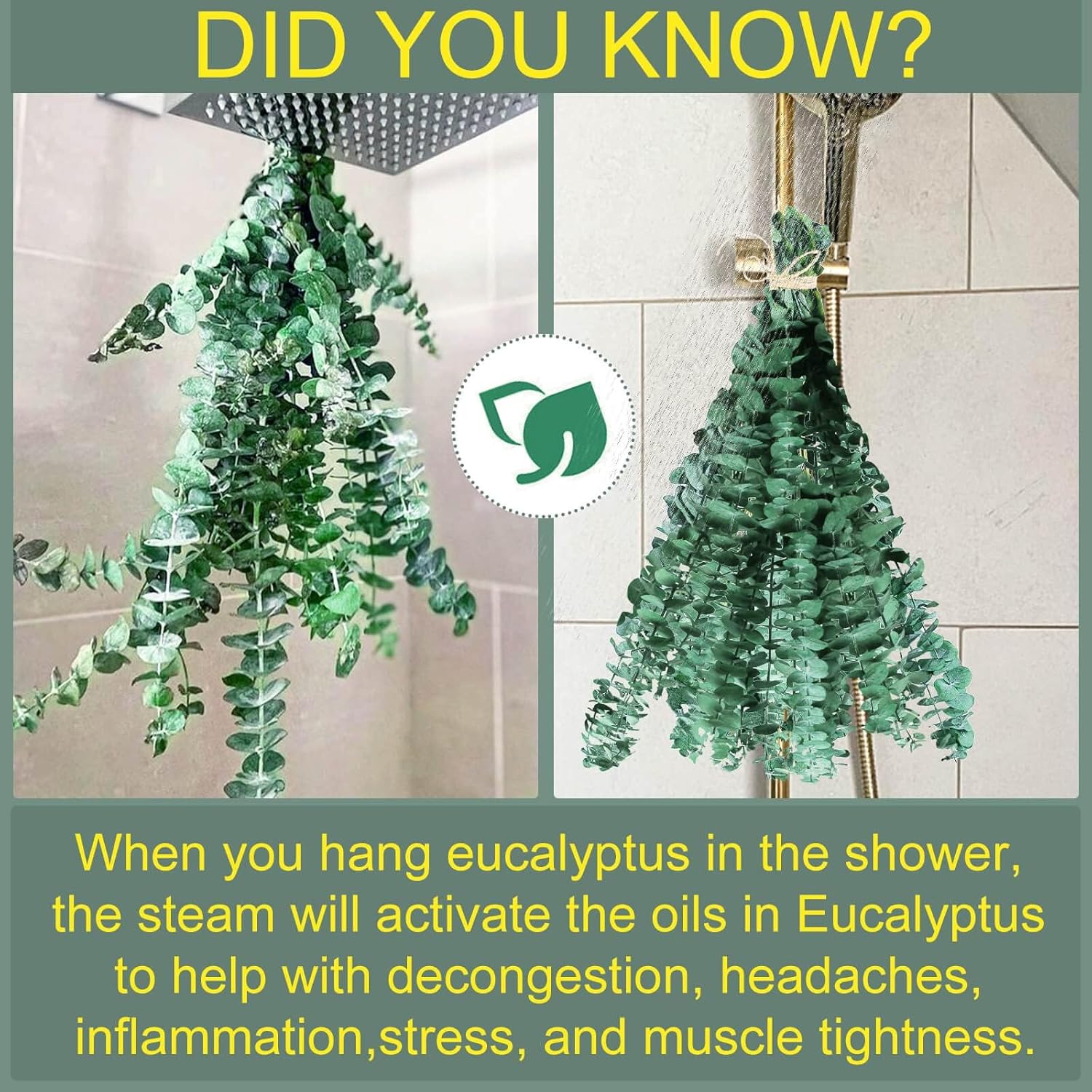 Paquete a granel de 30 piezas de plantas de eucalipto secas reales para ducha,...