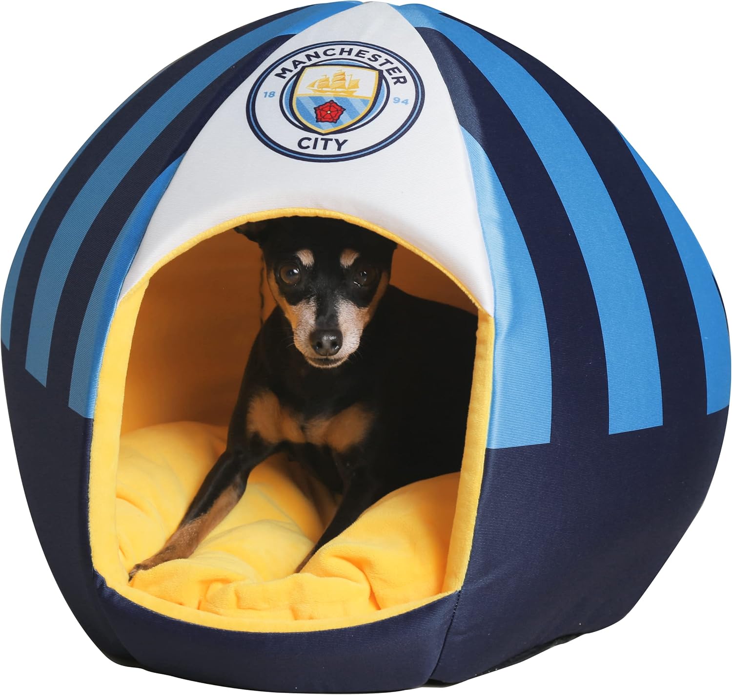 Maccabi Art Manchester City - Cama de fútbol para perros, cama temática...