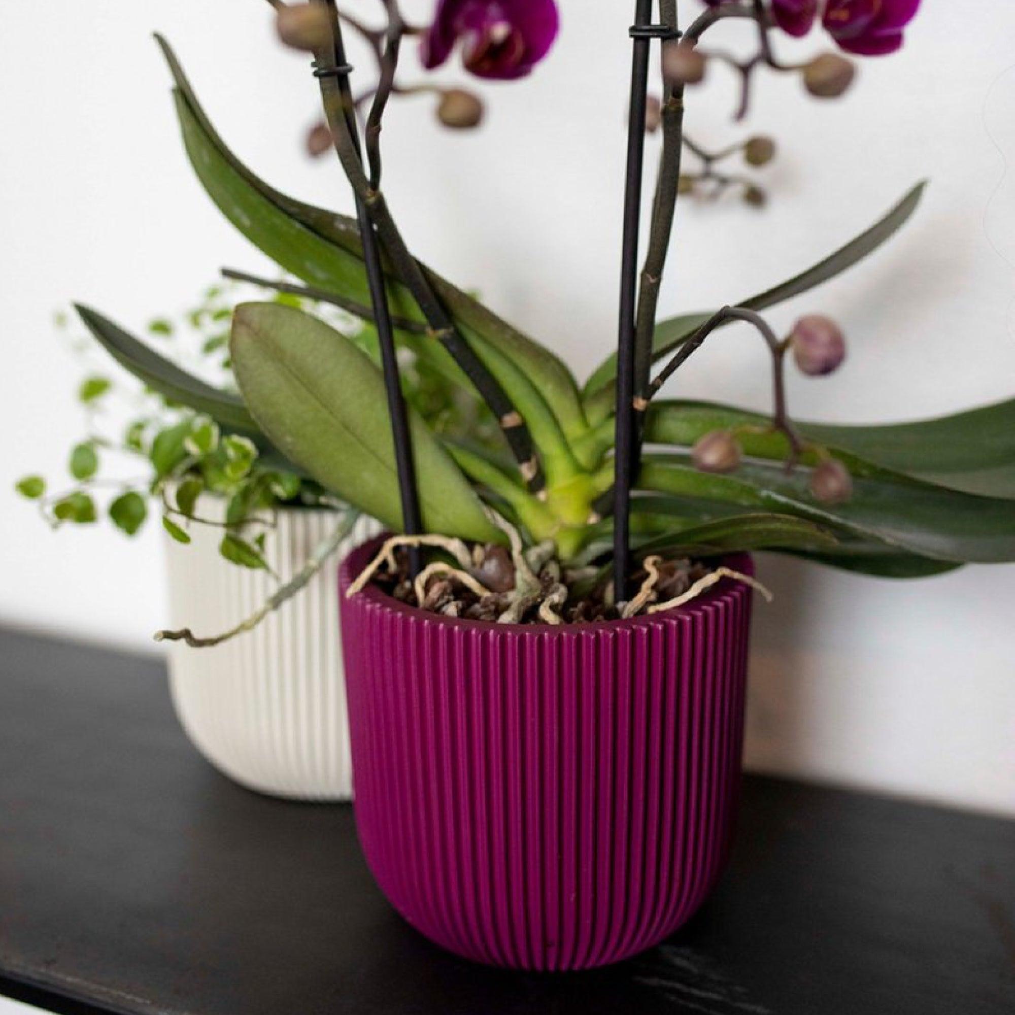 Matera Conic Round Groove 17 cm Morado